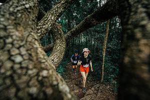 BIB: 
                            <button type="button" onclick="openModal(25704869)" class="btn btn-primary btn-sm float-right btn-popup" data-toggle="modal" data-target=".modal-high-quality">
                        <i class="fas fa-shopping-cart"></i> Add to Cart
                    </button>
                                            <button type="button" onclick="isThisMe(25704869, true)" class="btn btn-success btn-sm float-right btn-popup btn-isme hidden" data-toggle="tooltip" data-placement="bottom" title="นี่คือรูปของคุณใช่ไหม คลิกที่นี่เพื่อเอาเข้าอัลบั้ม">
                        <i class="fas fa-plus"></i> Add to album
                    </button>
                    <button type="button" onclick="isThisMe(25704869, false)" class="btn btn-warning btn-sm float-right btn-popup btn-isnotme hidden">
                        <i class="fas fa-ban"></i> Remove from album
                    </button>